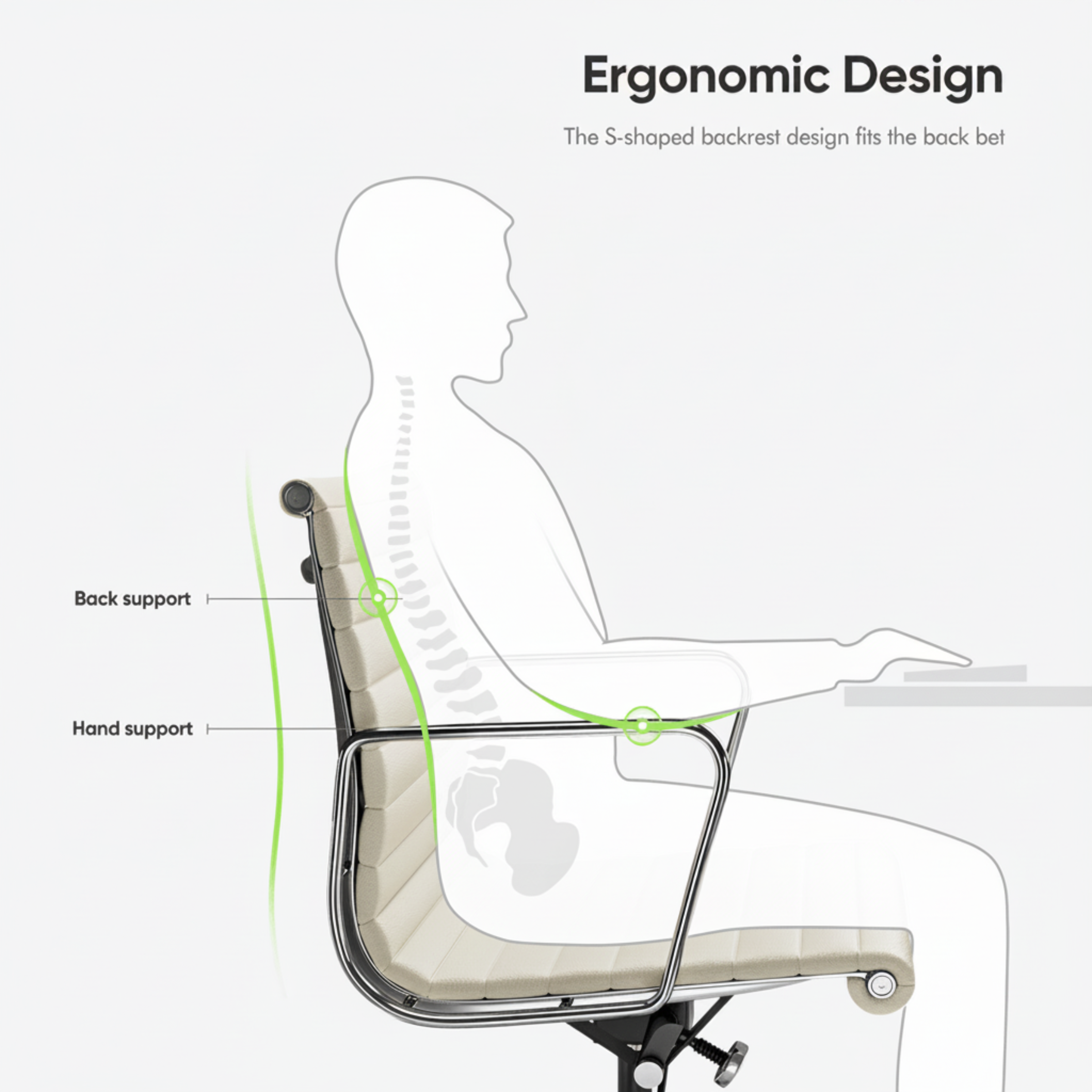 Ergonomic office chair design with labeled back and hand support on a white background