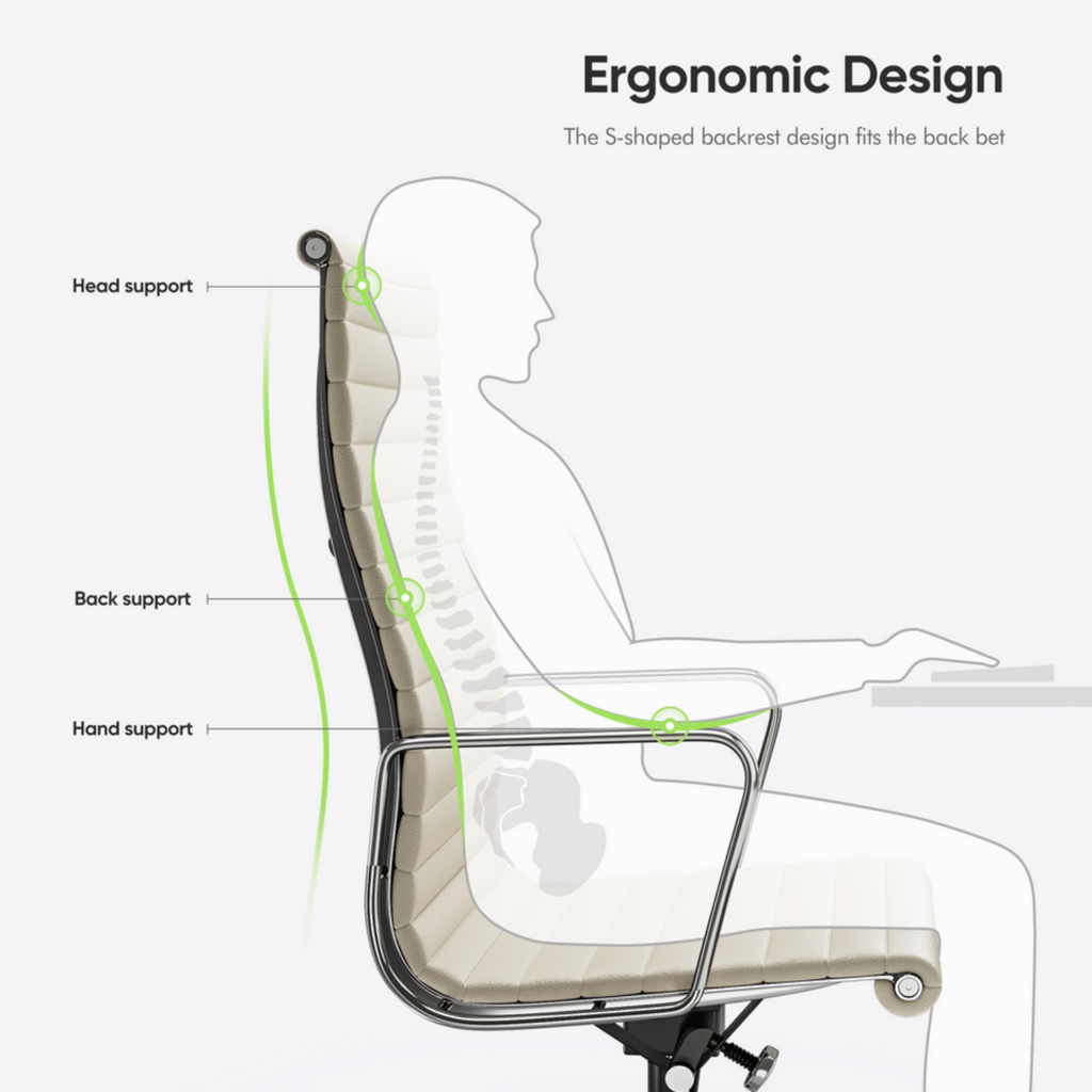 Ergonomic chair design diagram with labeled support points on a white background